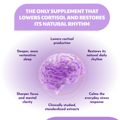 Corvela Steady Base™ Capsules - Lower Cortisol, Restore Your Rhythm