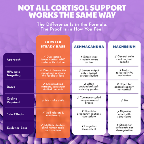 Corvela Steady Base™ Capsules - Lower Cortisol, Restore Your Rhythm